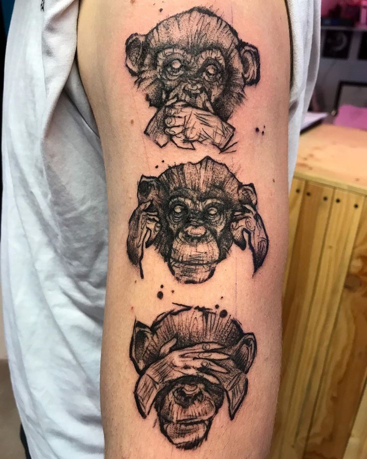 Eli Hal Kaufman On Instagram The Wise Monkeys Said See No Evil