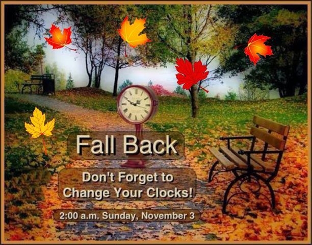 Fall Back Imgflip