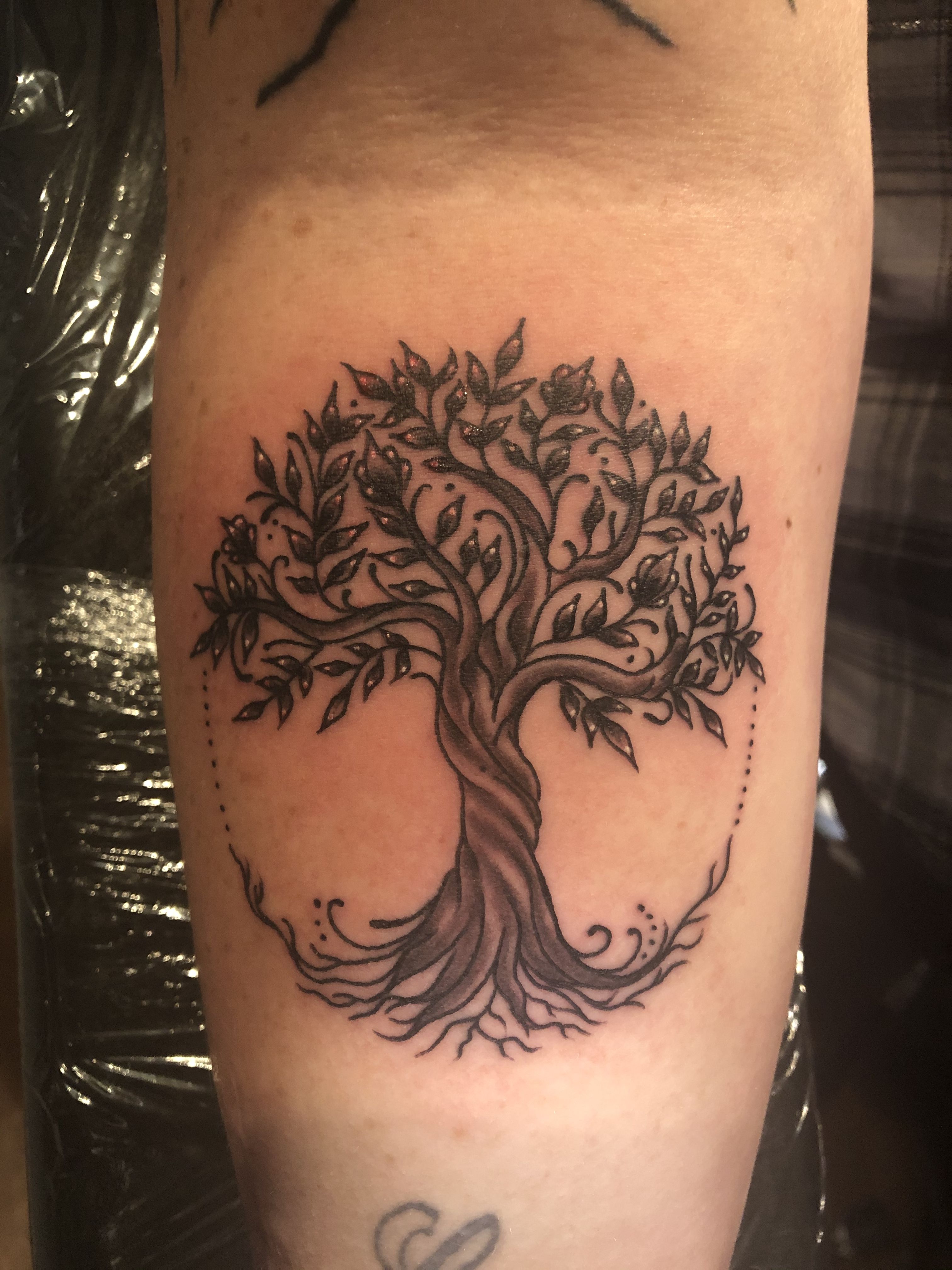 Family Tree Tattoo Tattoos Meaning Family Family Name Tattoos Tree