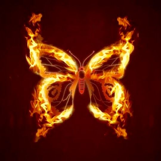 Fire Butterfly Butterfly Wing Tattoo Angel Wings Tattoo Butterfly