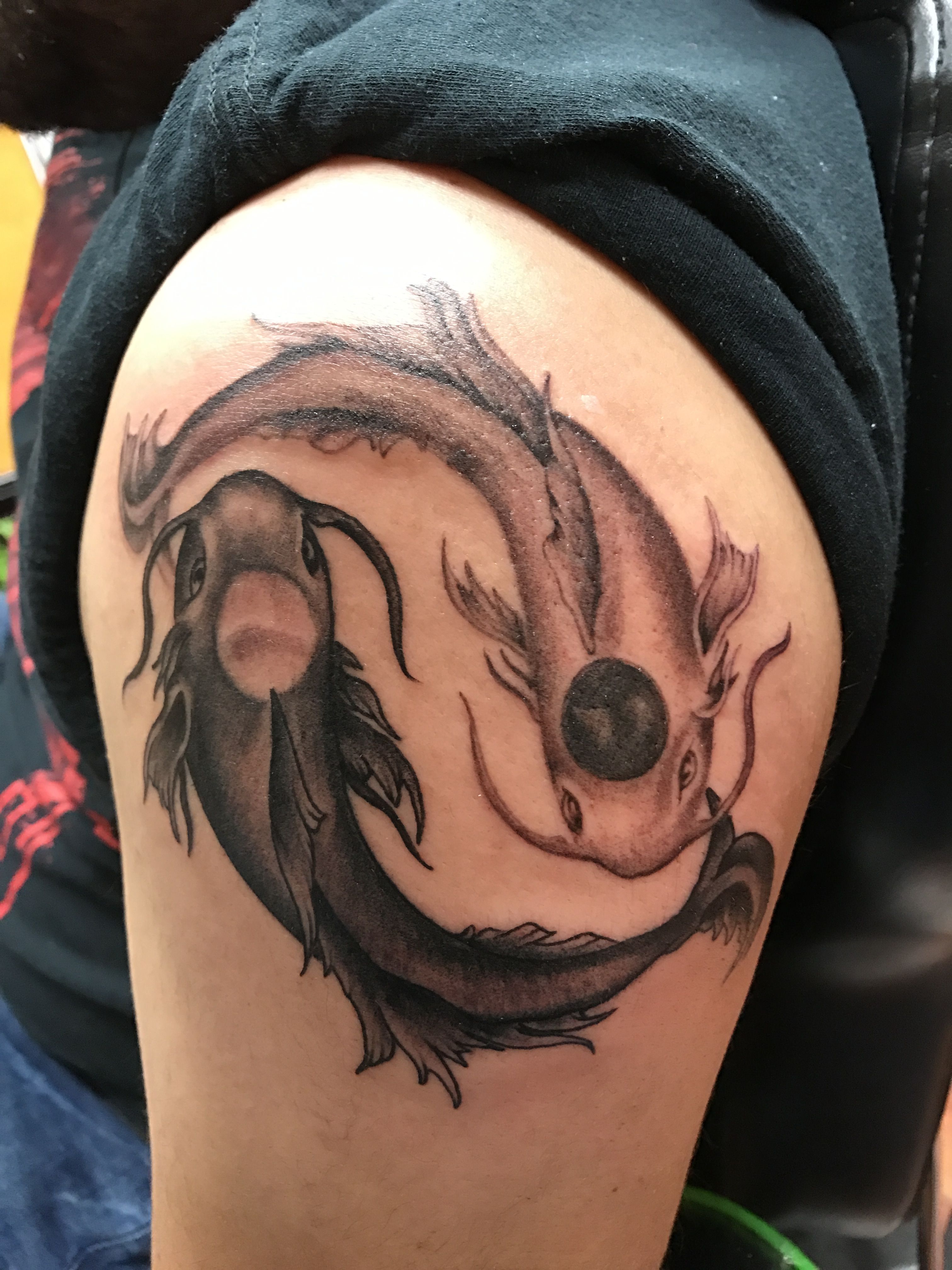 5 Stunning Fish Yin Yang Tattoo Designs