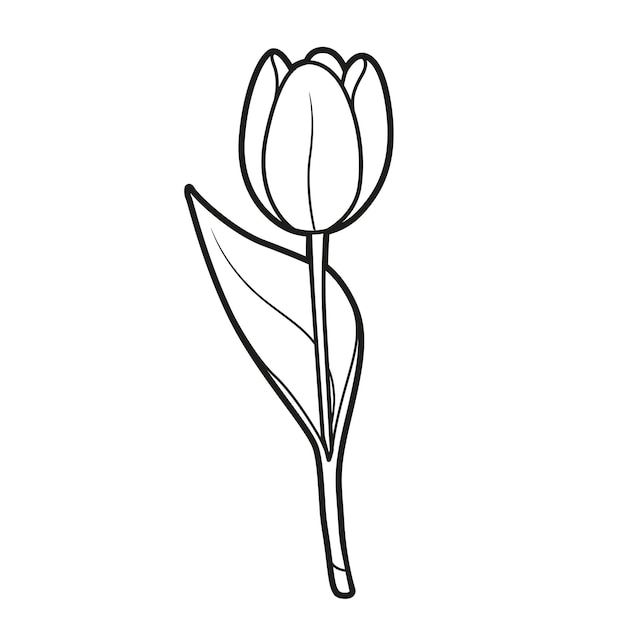 5 Stunning Ways to Create Tulip Heart Outlines