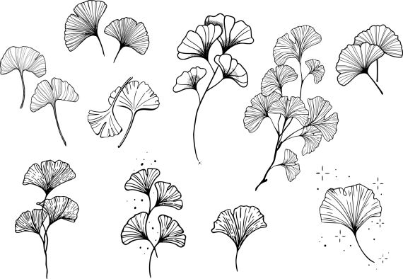 Ginkgo Tattoo Set Vector Eps Svg Onlygfx Com