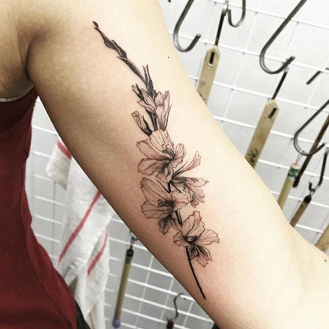 Gladiolus Flower Tattoos Flower Vine Tattoos Floral Back Tattoos Birth Flower Tattoos