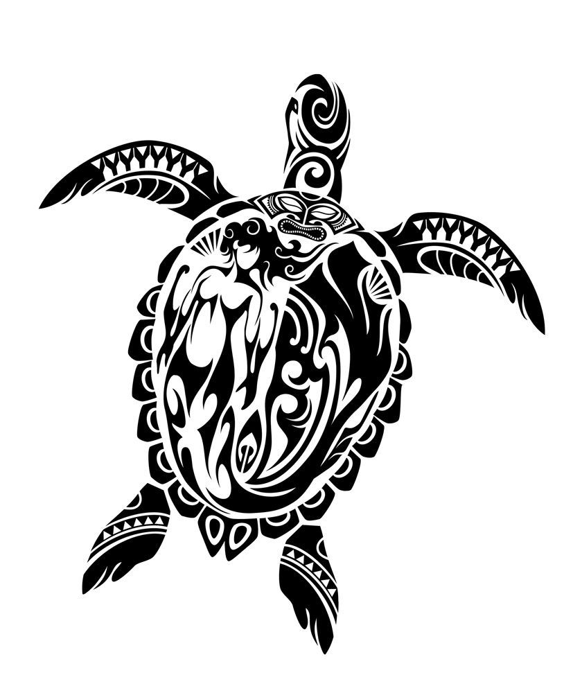 Hawaiian Tribal Turtle Tattoo Design Tribal Turtle Tattoos Turtle