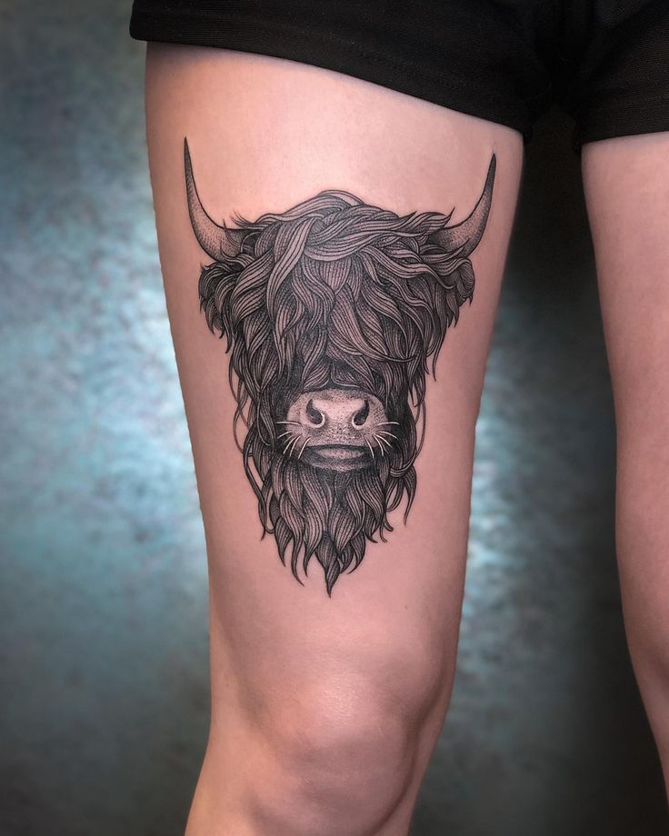 Highland Cow Tattoo Sleeve Designs: Your Ultimate Guide