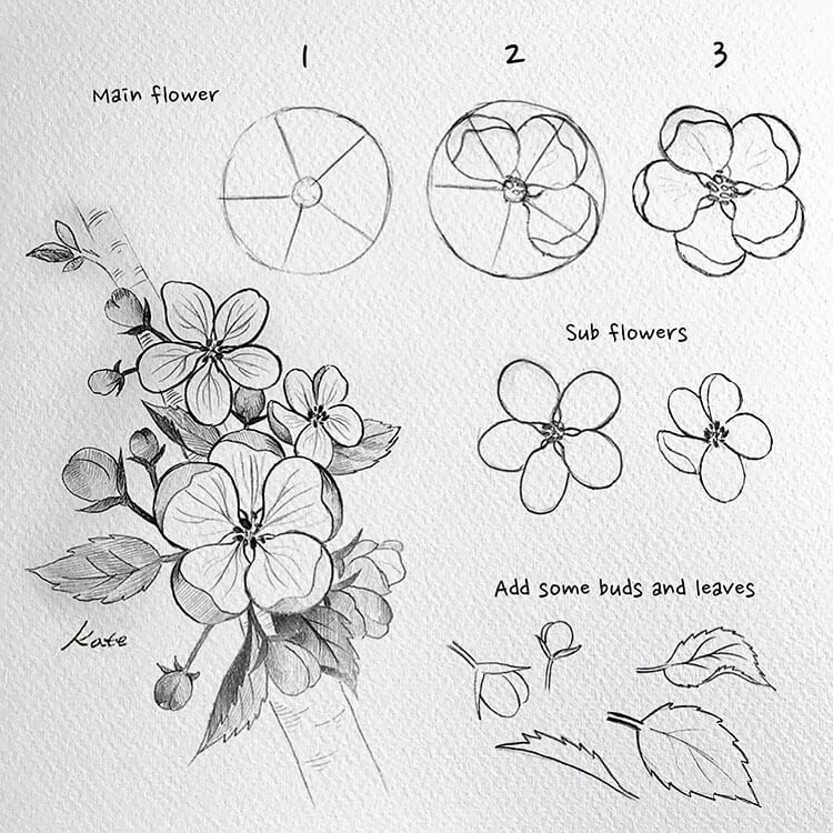 How To Draw A Flower Step By Step Flower Drawing Tutorials Easy