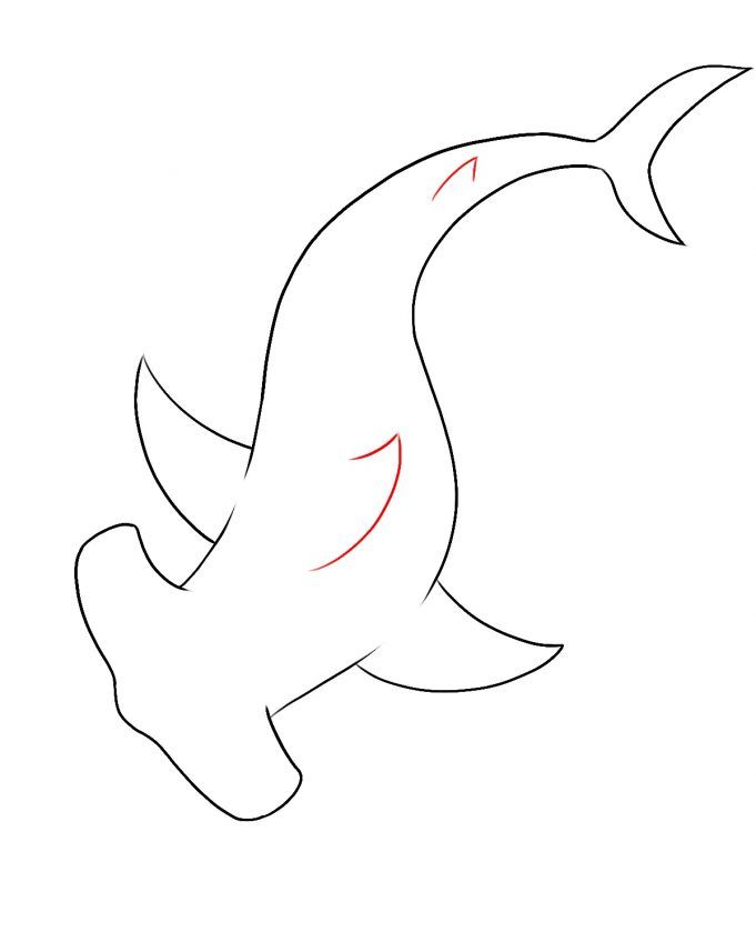 How To Draw A Hammerhead Shark Draw Central