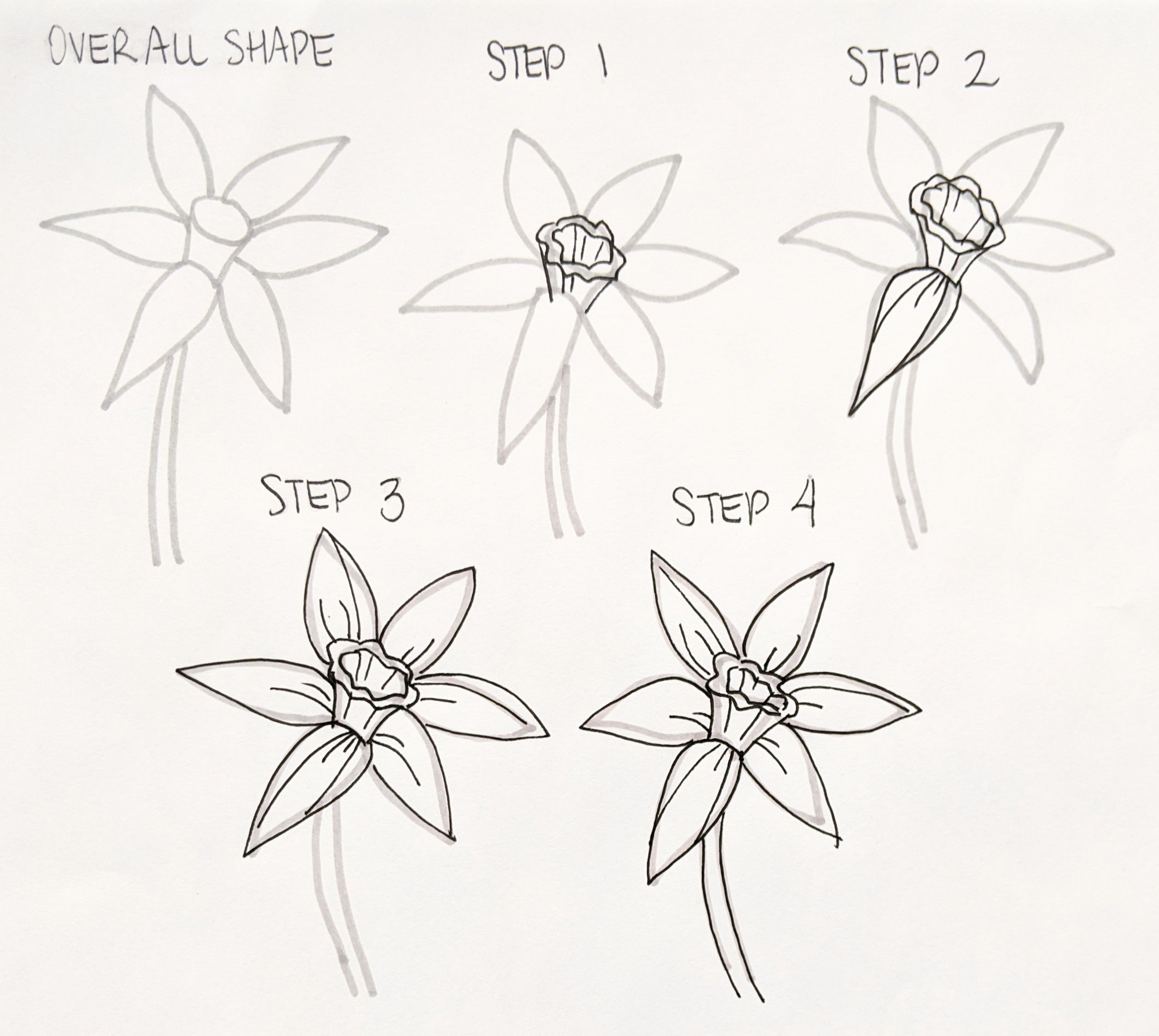 How To Draw Flowers And Grass At Cheryl Cali Blog