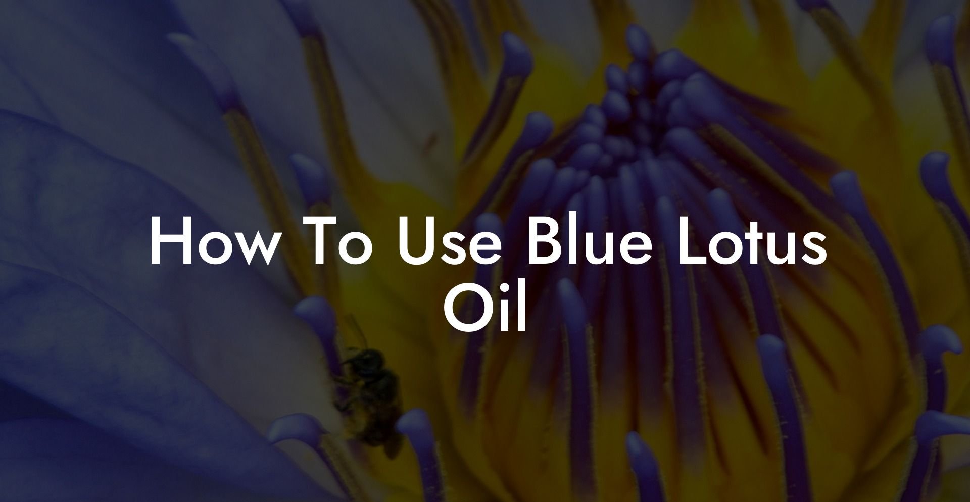 How To Use Blue Lotus Oil Pure Blue Lotus Oil