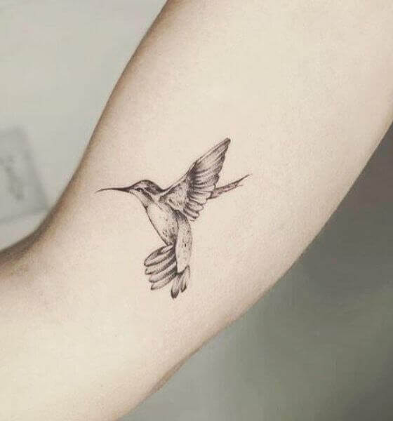 Humming Bird Tattoo Black And White Year 2016 Http Www Brothers