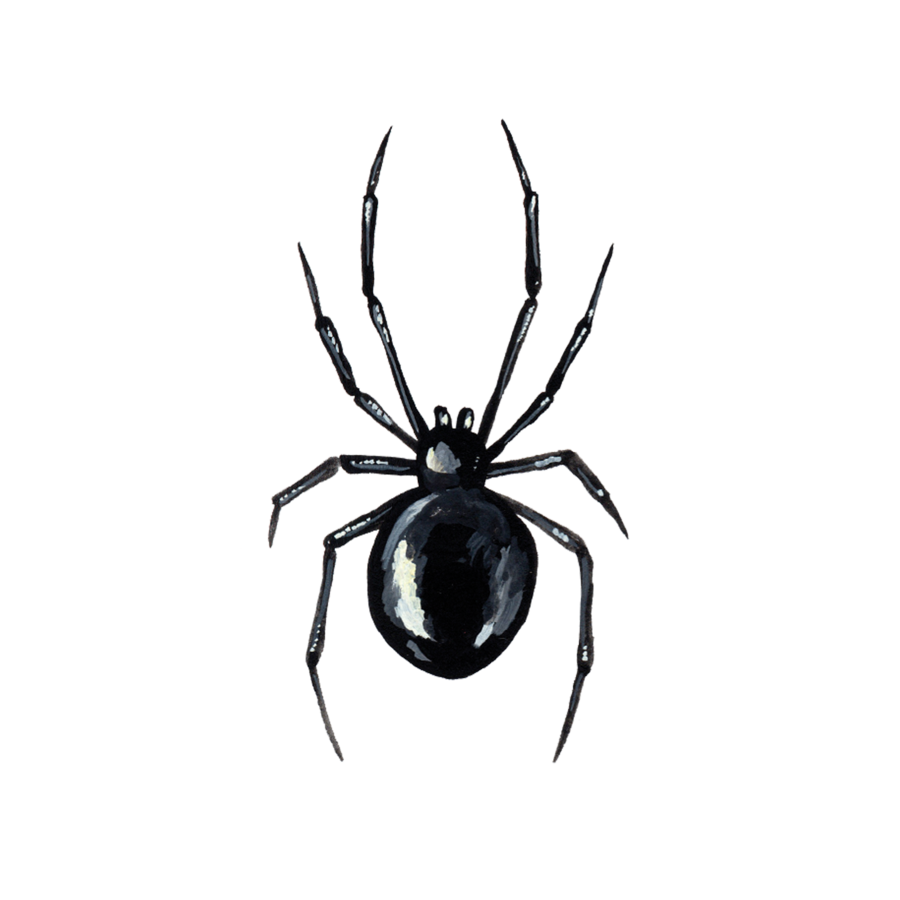 Intricate Black Widow Spider Tattoo Design On Craiyon