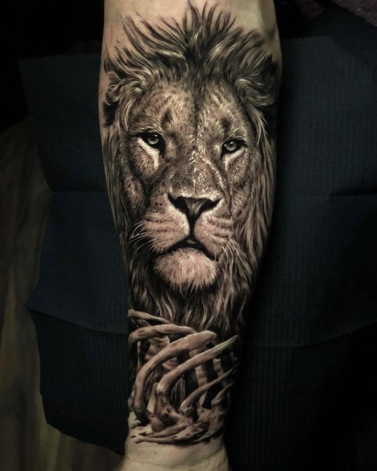 Lion Tattoos Tattoo Designs Tattoo Pictures