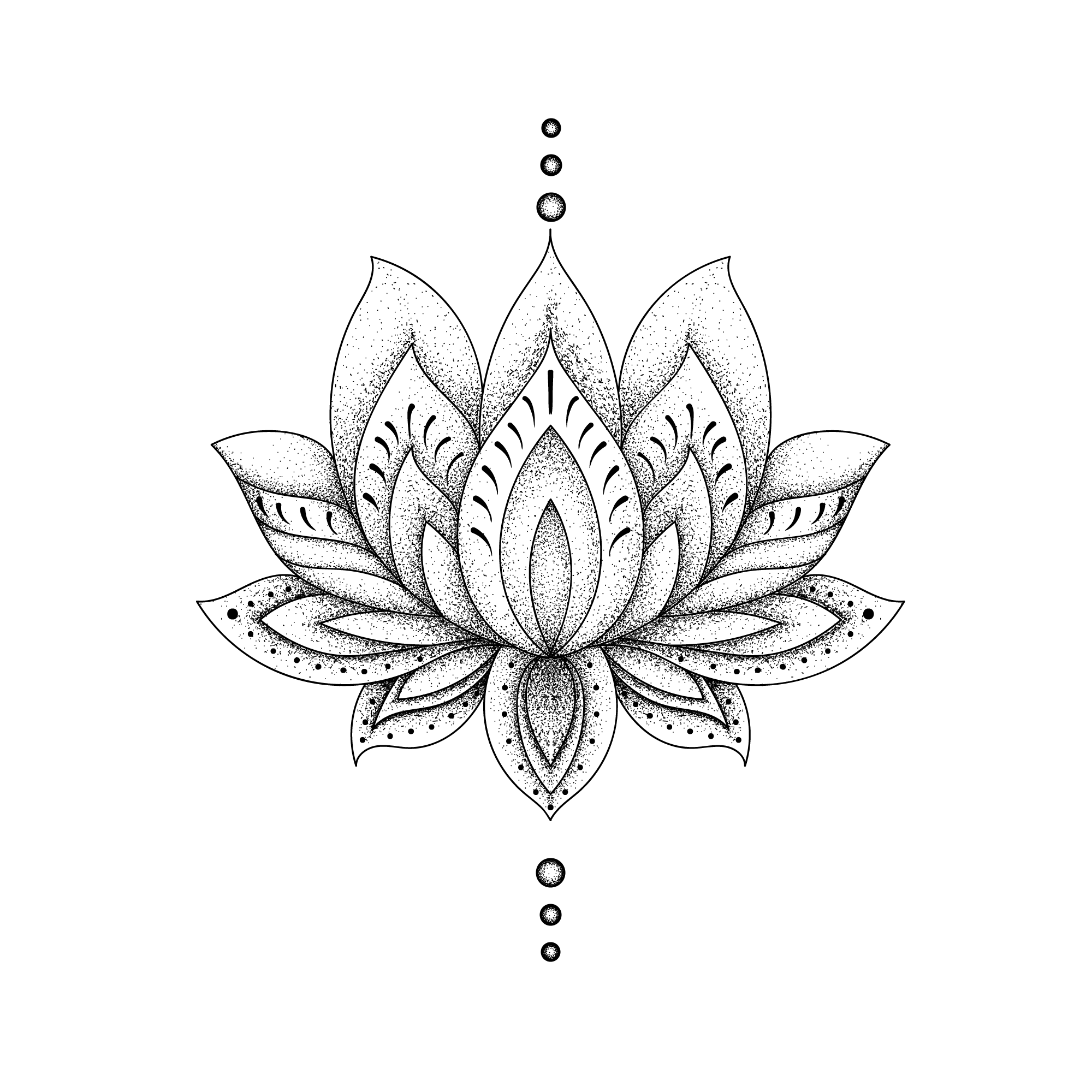 Lotus Flower Tattoo Drawing: Beginner's Guide