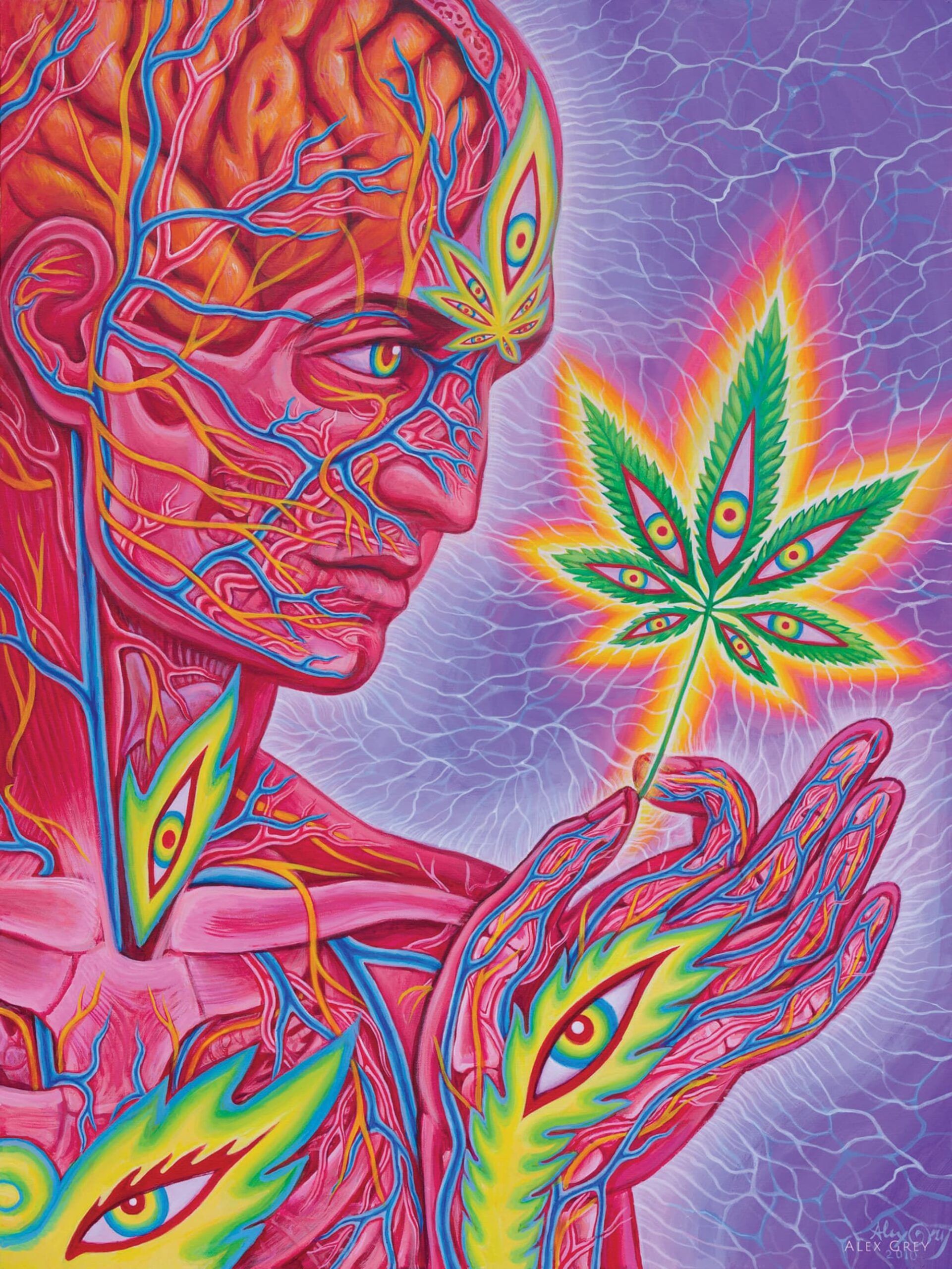 Marijuana World Best Drawings