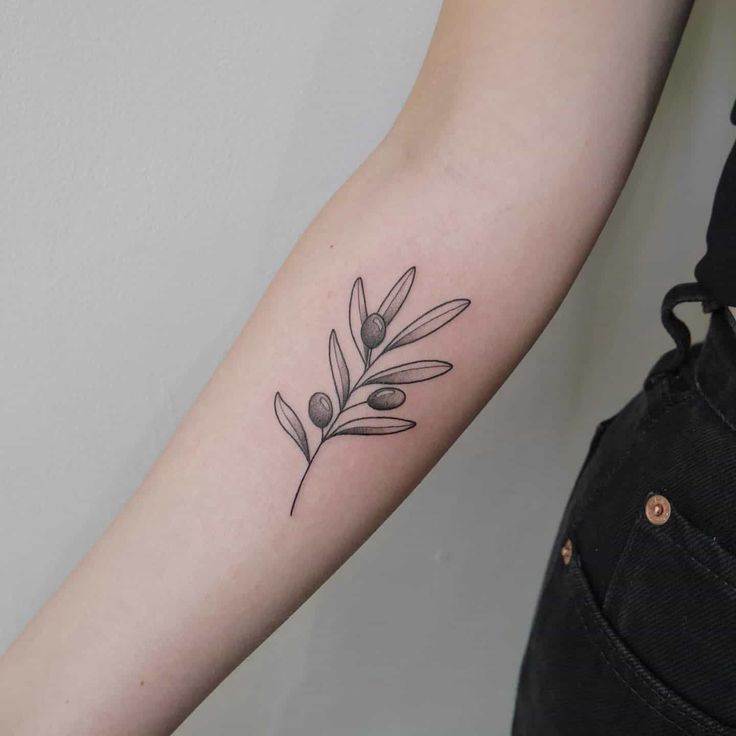 Olive Branch Tattoo: Unveiling Its Powerful Symbolism