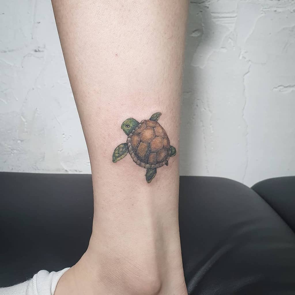 5 Adorable Small Turtle Tattoo Ideas and Their Meanings