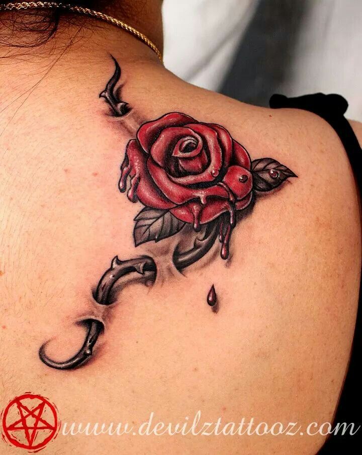 Minus The Drops Of Blood Or Whatever That Is More Roses And Thorns