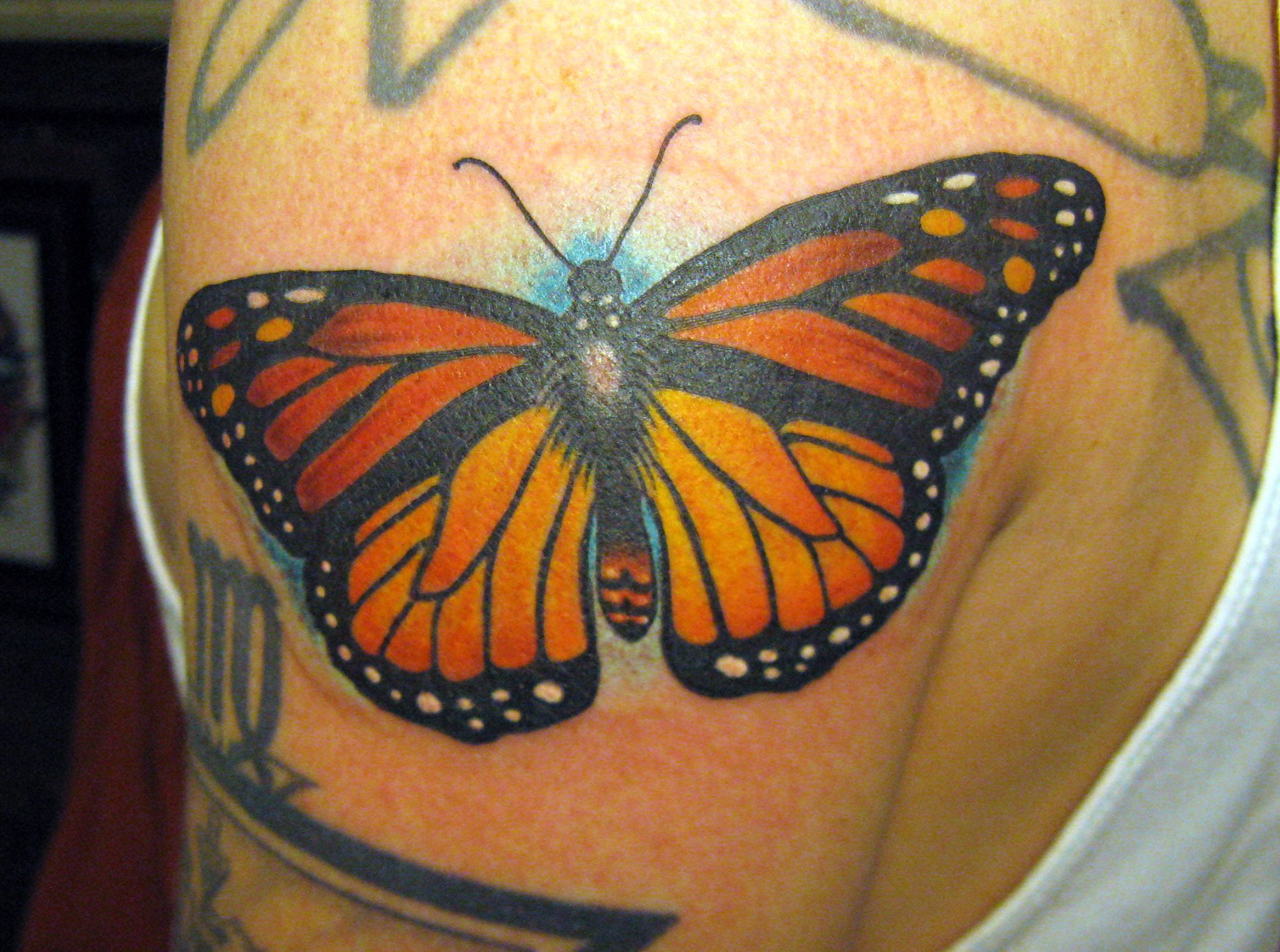 Monarch Butterfly Tattoo By Tasha Rubinow Inborn Tattoo Nyc