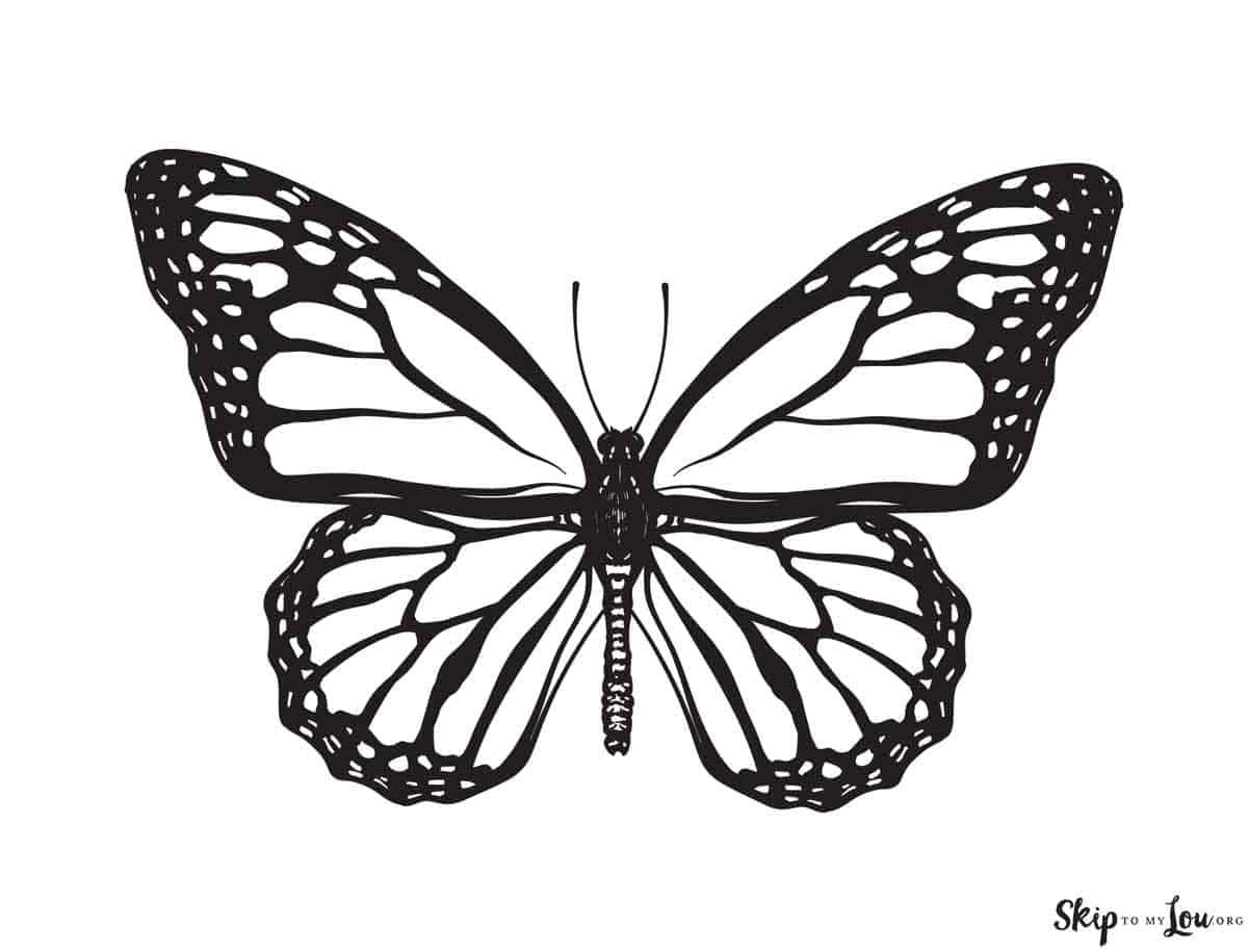 Monarch Butterfly Tattoo Outline: Perfect Your Ink Inspiration