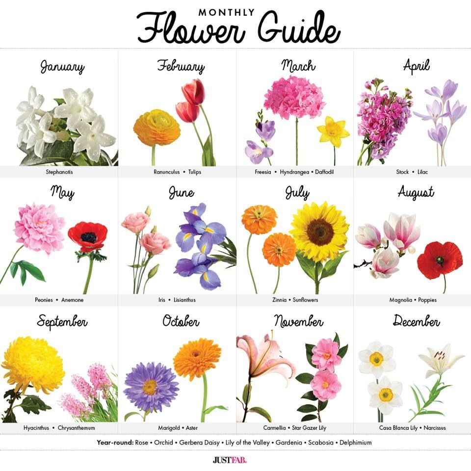 Monthly Flower Guide Birth Flowers Flower Guide Birth Flower Tattoos