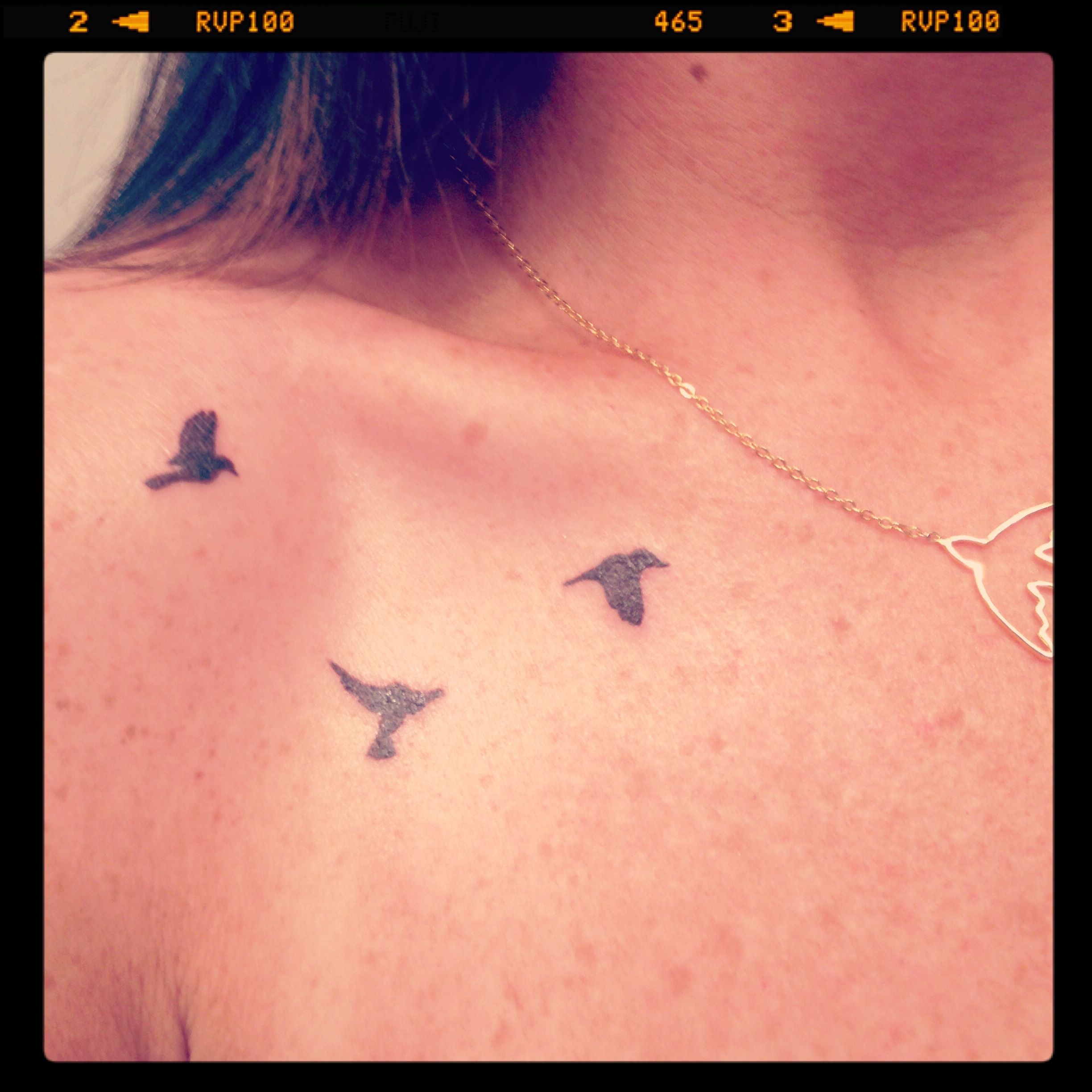 My Divergent Tattoo Yup I Am Getting Bird Silhouettes I Really