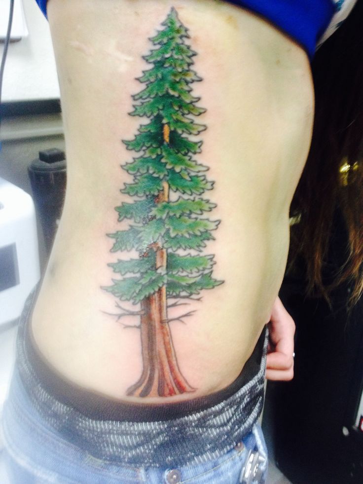 New Ink As Of 2 12 14 Redwood Tree Tattoo Tattoos Tree Tattoo Love Tattoos