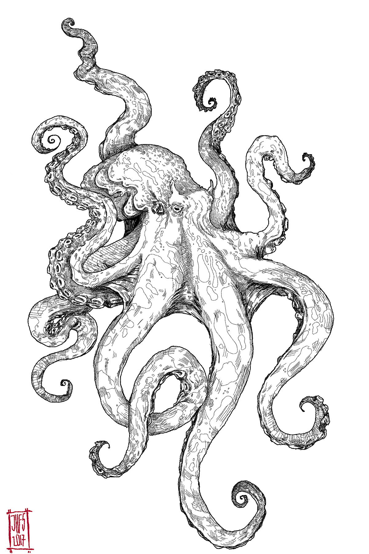 Octopus Tattoo Design