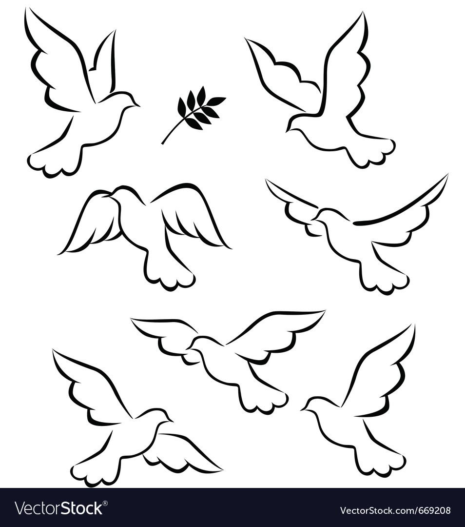 Dove Tattoo Outline: Inspiring Designs and Ideas