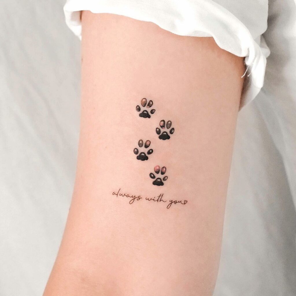 Paw Print Heart Tattoos Maybe Pawprint Tattoo Print Tattoos