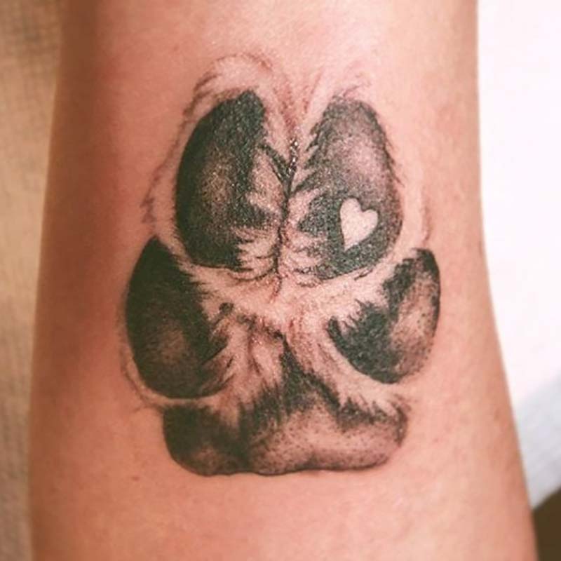 5 Heartwarming Paw Print Memorial Tattoo Ideas