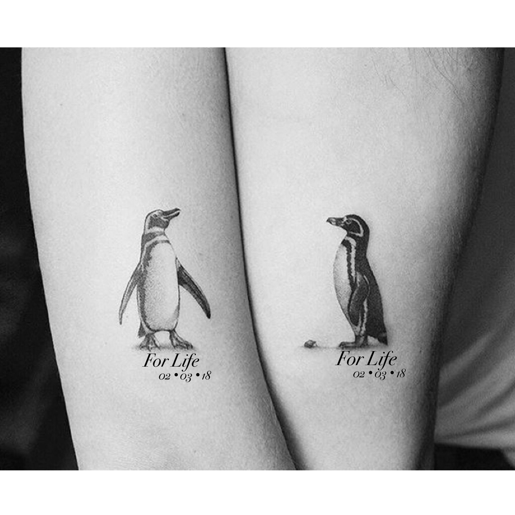 Penguin Tattoos for Couples: Unique Design Ideas