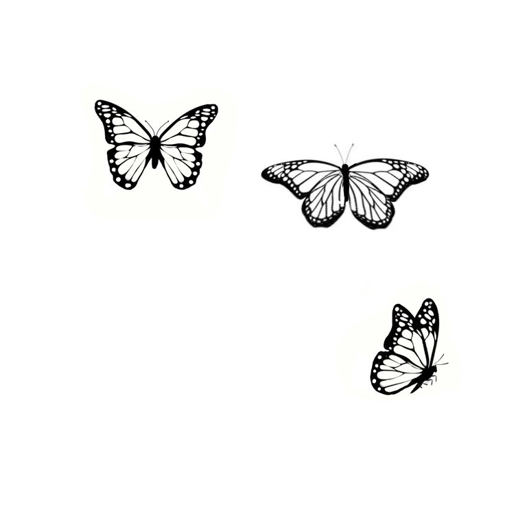 Pin By Karen Caldwell On Butterflies To Paint Simple Butterfly Tattoo