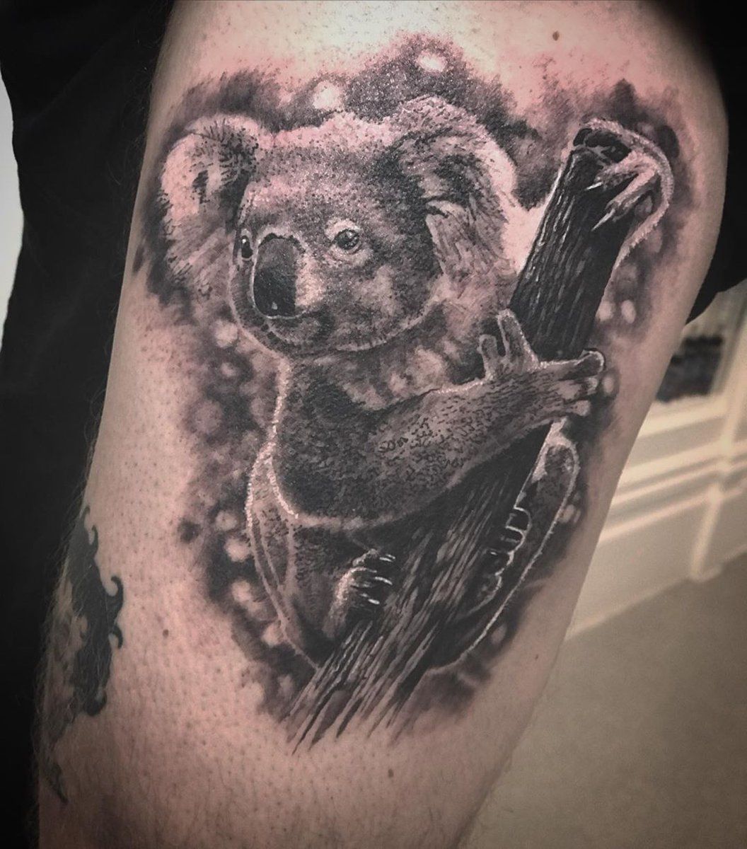 Pin By Tanner Flores On Tatt S Koala Tattoo Tattoo Designs Men