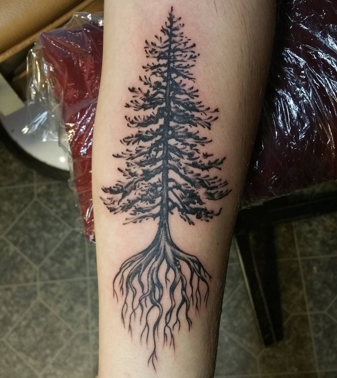 Pine Tree Tattoos Meaning