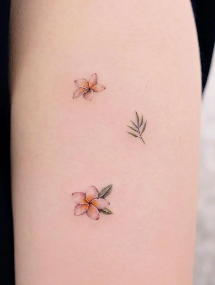 Plumeria Tattoos Tattoo Styles Meanings More Plumeria Tattoo