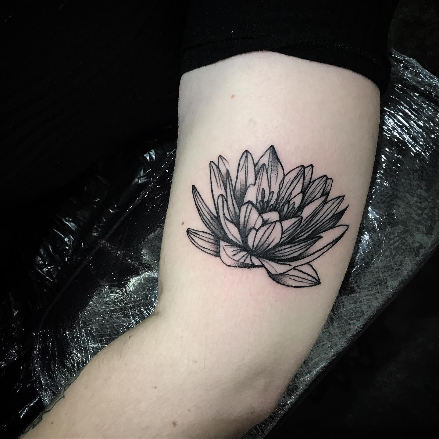 5 Stunning Realistic Water Lily Tattoo Ideas