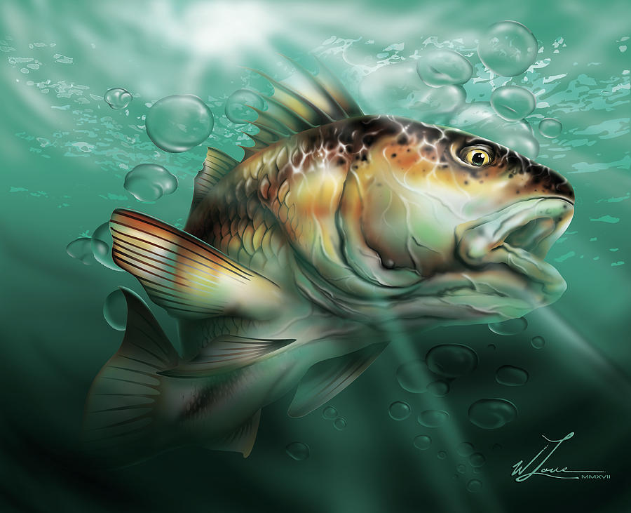 Red Drum Art