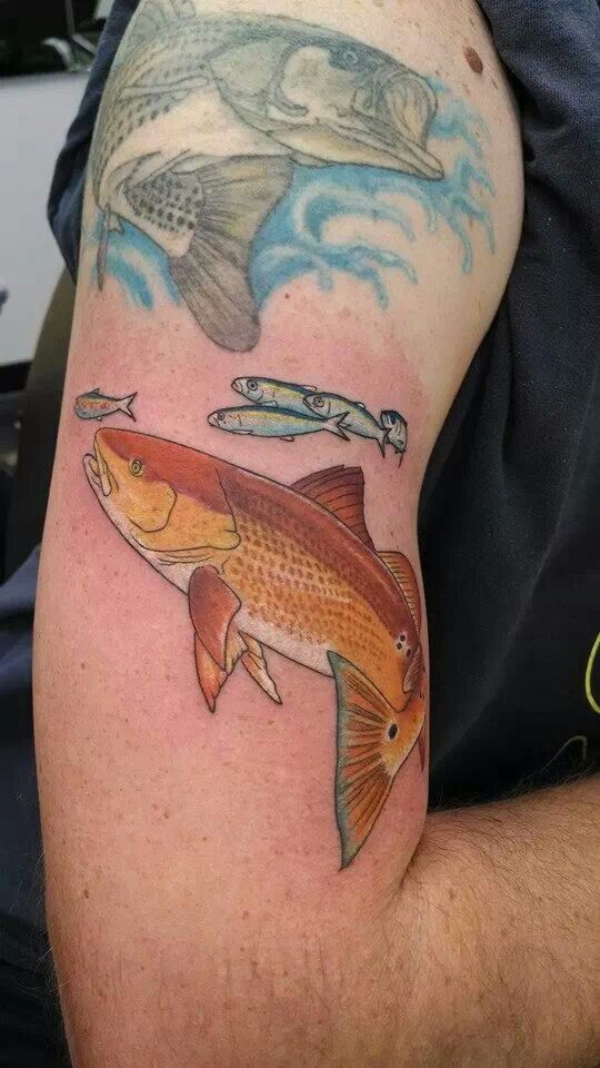 Red Drum Fish Tattoo: Ink the Catch of a Lifetime