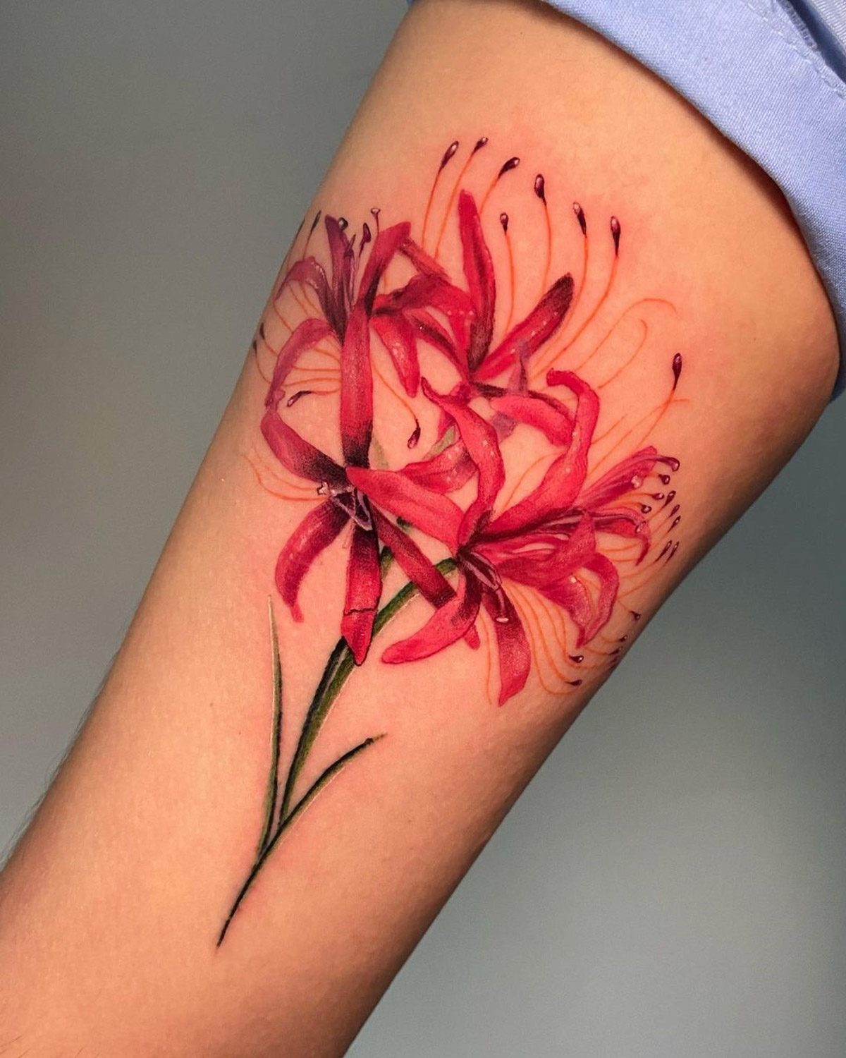 5 Stunning Red Spider Lily Tattoo Ideas