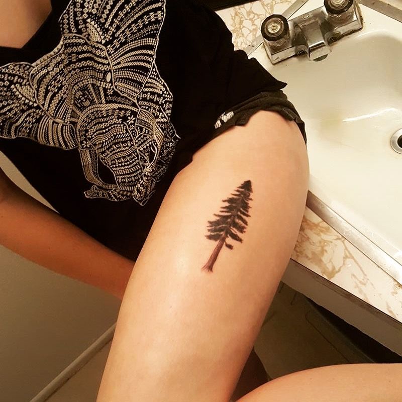 5 Reasons to Get a Redwood Tattoo by Brian Jacques