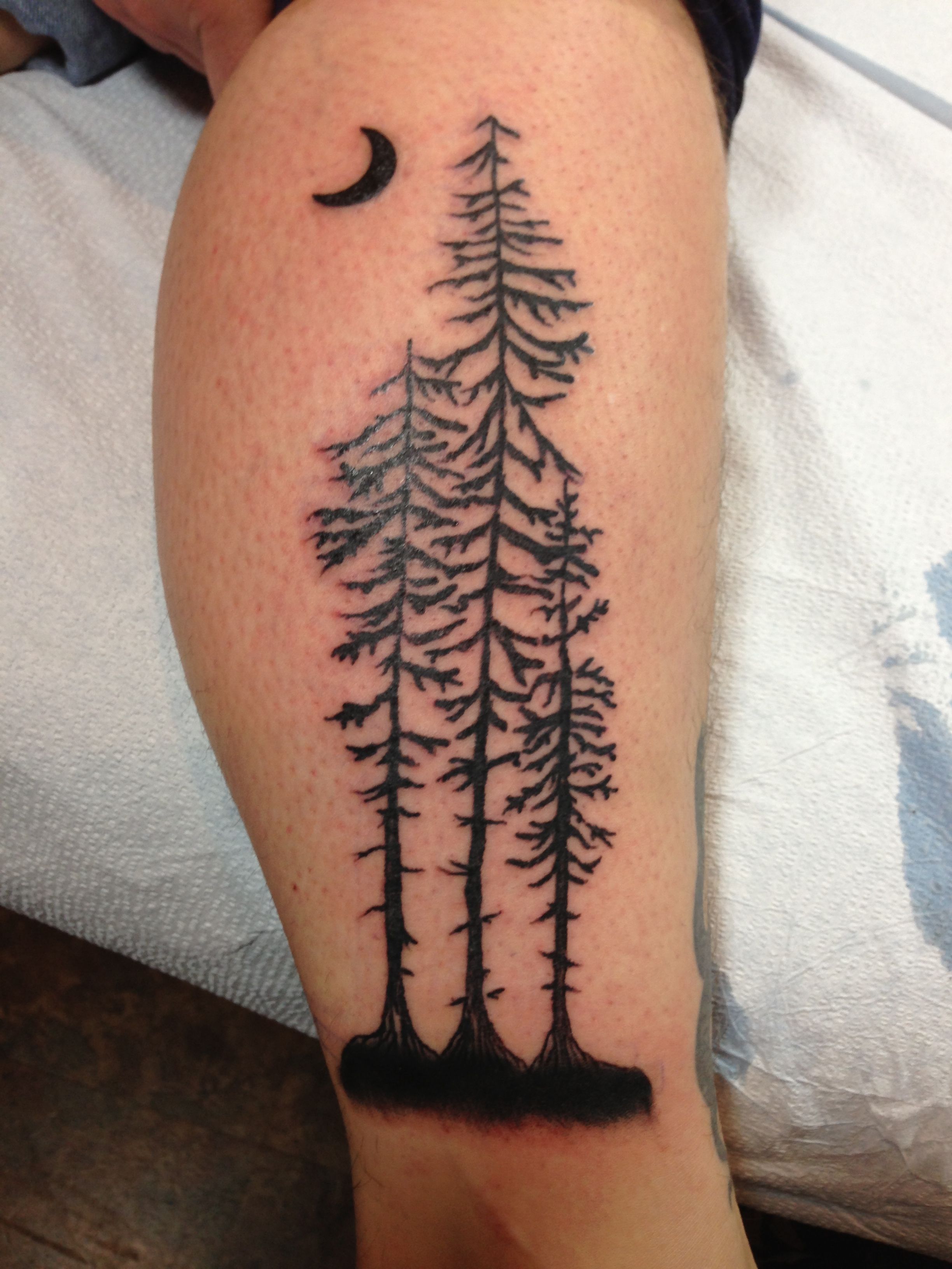 Redwood Tree Tattoo Tattoos Luck Tattoo Tree Tattoo