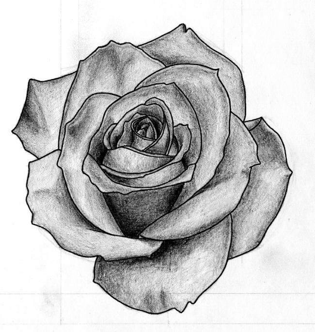 Mastering Rose Black and White Drawing Techniques