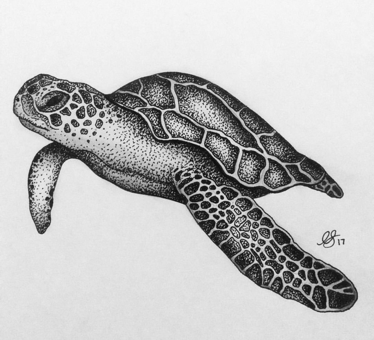 Dive into Symbolism with Sea Turtle Tattoo Designs