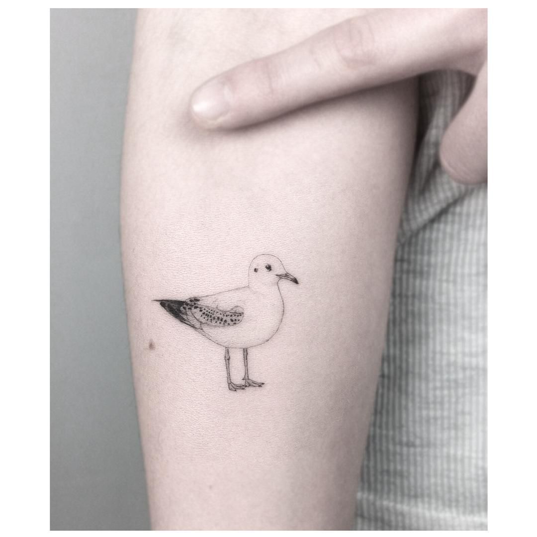 Seagull Tattoo Design Ideas Images Artofit