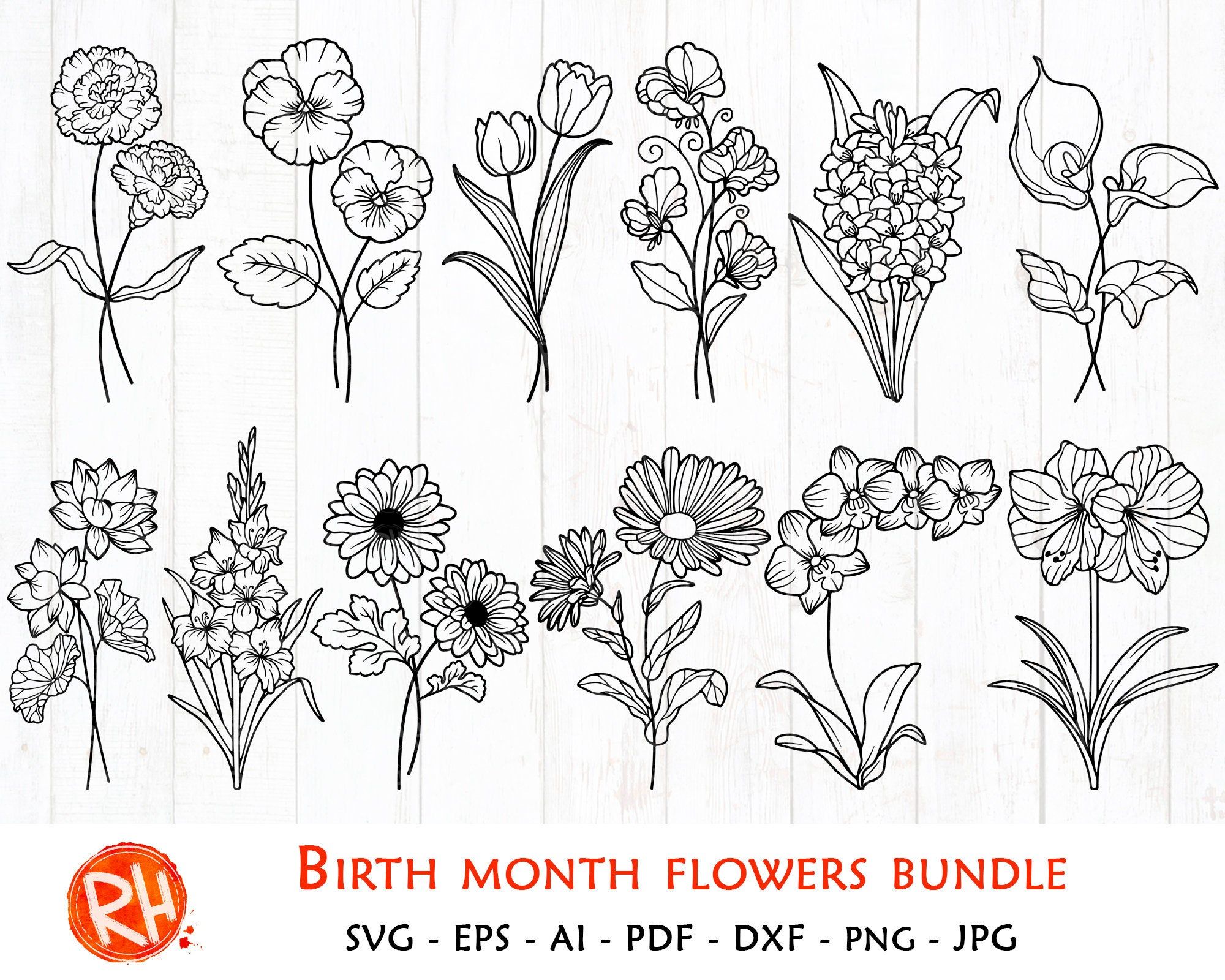 September Flower Of The Month Drawing Julissa Whiting