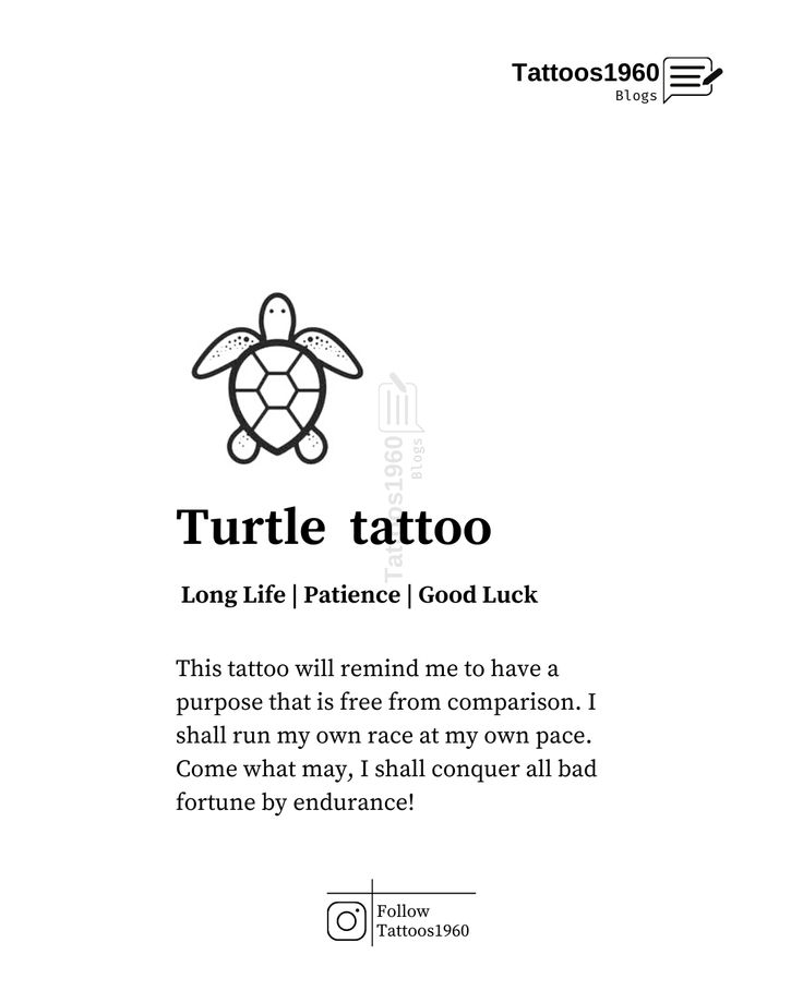 5 Symbolic Meanings Behind Turtle Tattoos