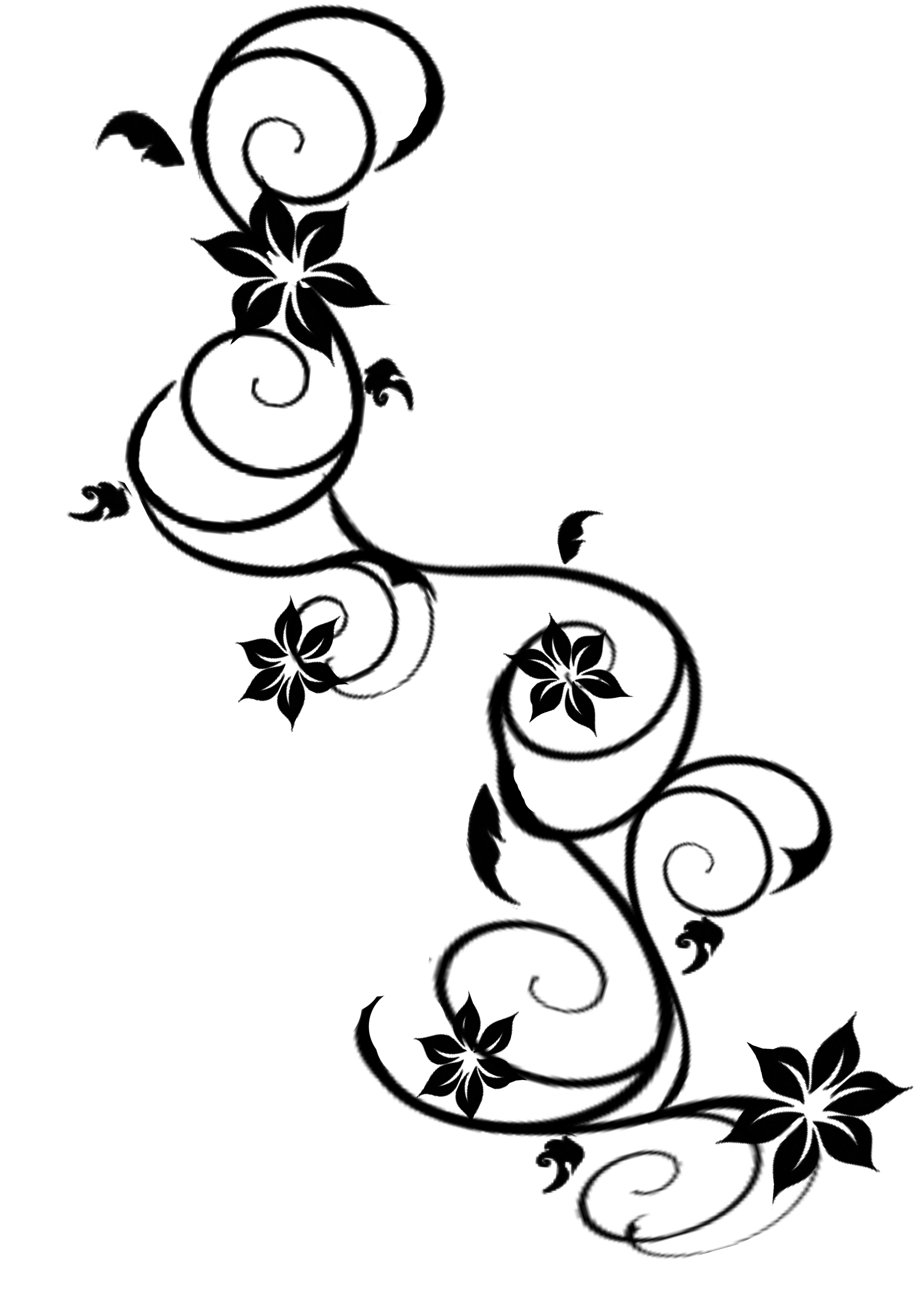 5 Elegant Simple Vine Tattoo Designs for Inspiration