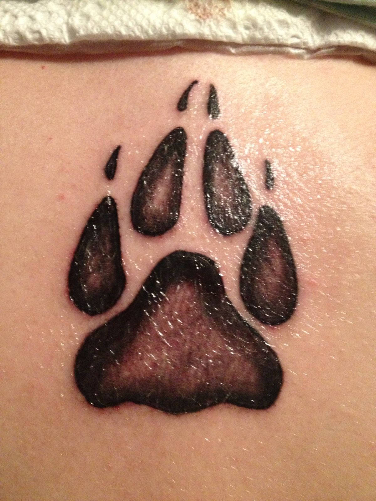 Simple Wolf Paw Tattoos