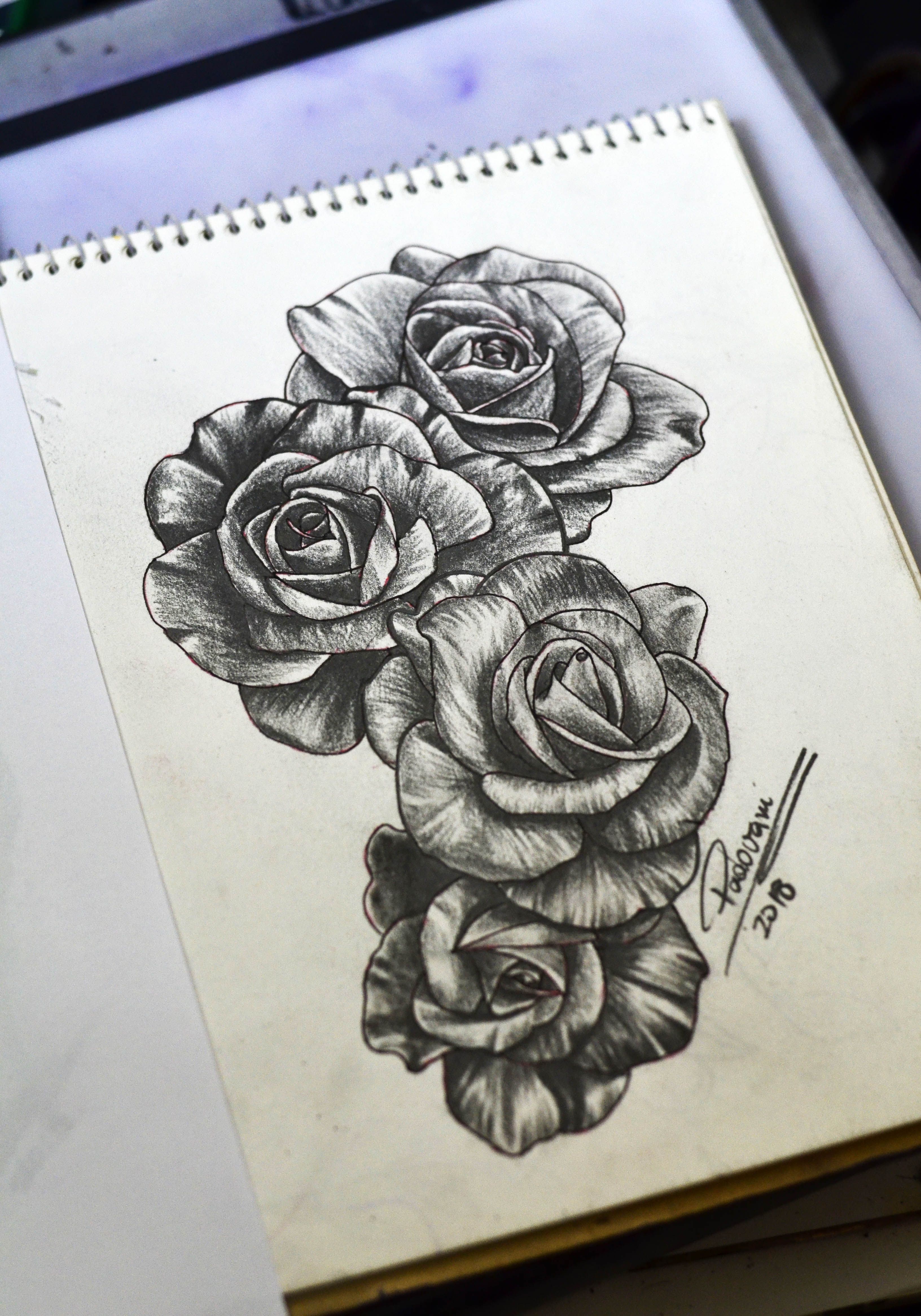 Stunning Rose Tattoo Sketches for Your Next Ink